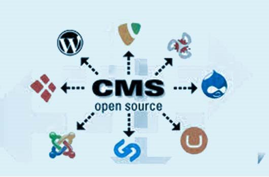 CMS: Everything you need to know